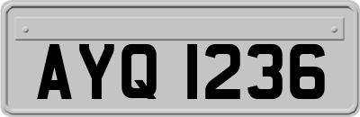 AYQ1236