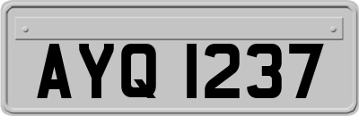 AYQ1237