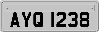 AYQ1238