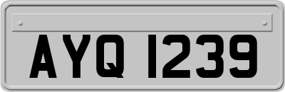 AYQ1239