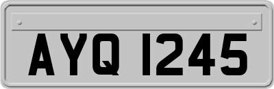AYQ1245