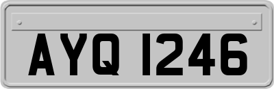 AYQ1246