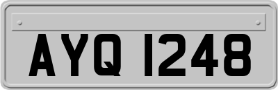 AYQ1248