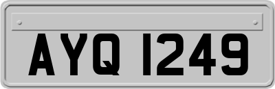AYQ1249