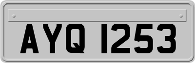 AYQ1253