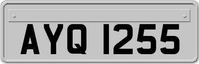 AYQ1255