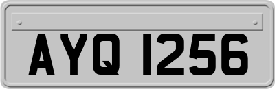AYQ1256