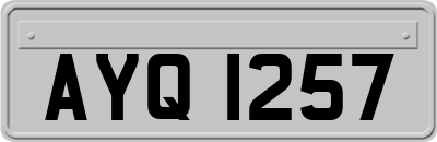 AYQ1257
