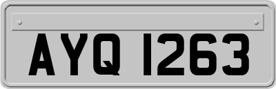 AYQ1263