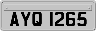AYQ1265