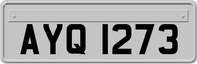 AYQ1273