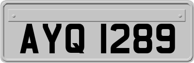 AYQ1289