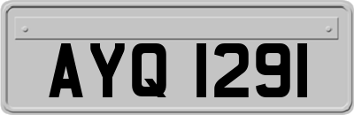 AYQ1291