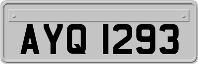 AYQ1293