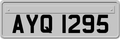 AYQ1295