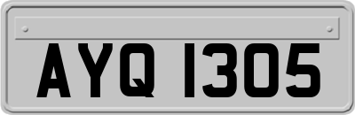 AYQ1305