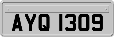 AYQ1309