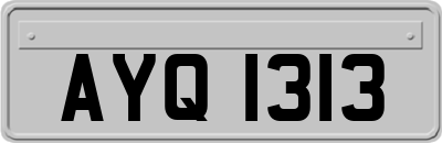 AYQ1313