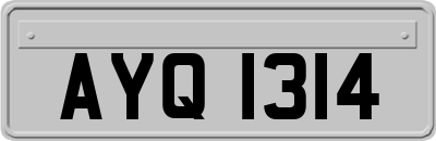 AYQ1314