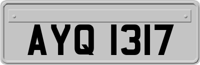 AYQ1317