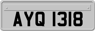 AYQ1318