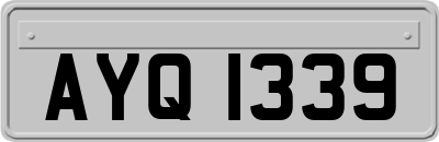 AYQ1339