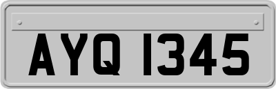 AYQ1345