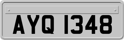 AYQ1348