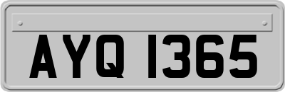 AYQ1365