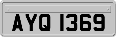 AYQ1369