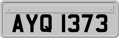 AYQ1373