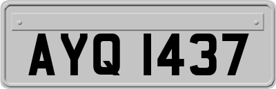 AYQ1437