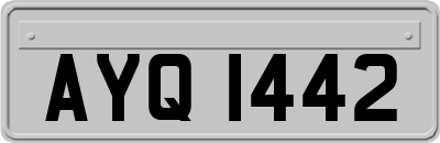 AYQ1442