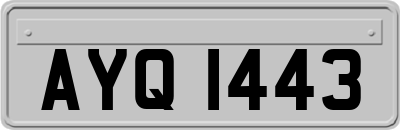 AYQ1443