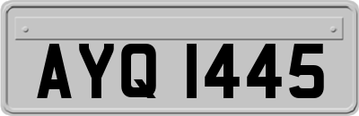 AYQ1445