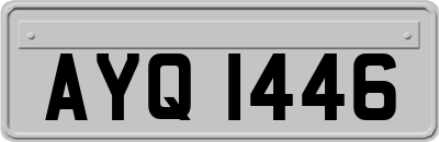 AYQ1446