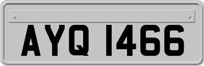 AYQ1466
