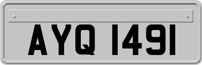 AYQ1491