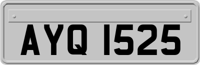 AYQ1525