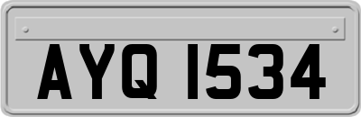 AYQ1534