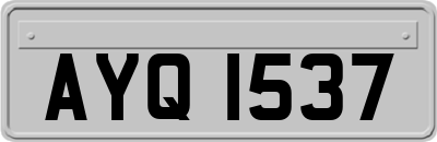 AYQ1537