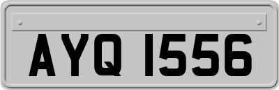 AYQ1556