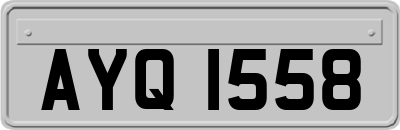 AYQ1558
