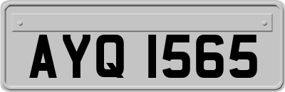 AYQ1565