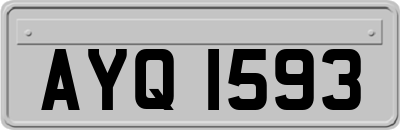 AYQ1593
