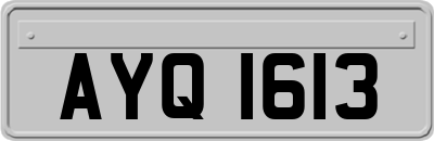 AYQ1613