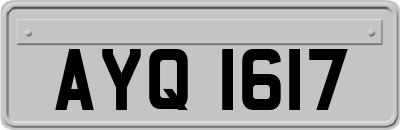 AYQ1617