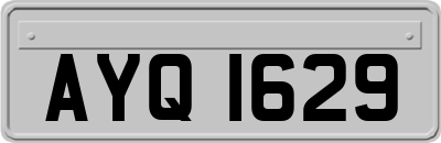 AYQ1629
