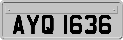 AYQ1636