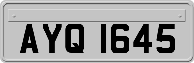 AYQ1645